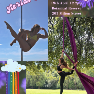 Aerial pole picnic poster e1773911924955