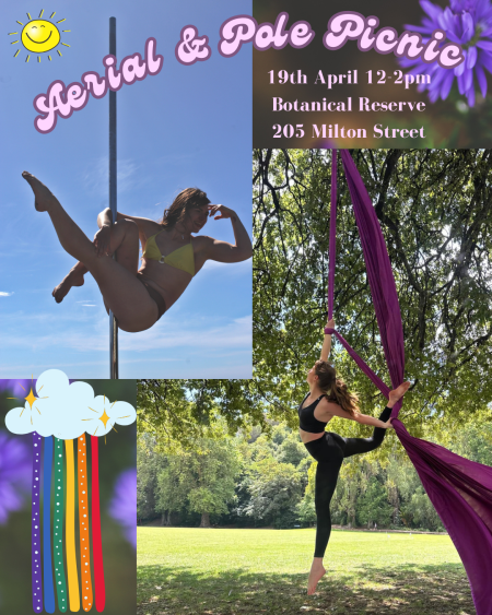 Aerial pole picnic poster e1773911924955