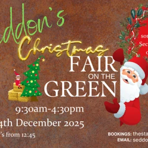 Christmas fair seddon