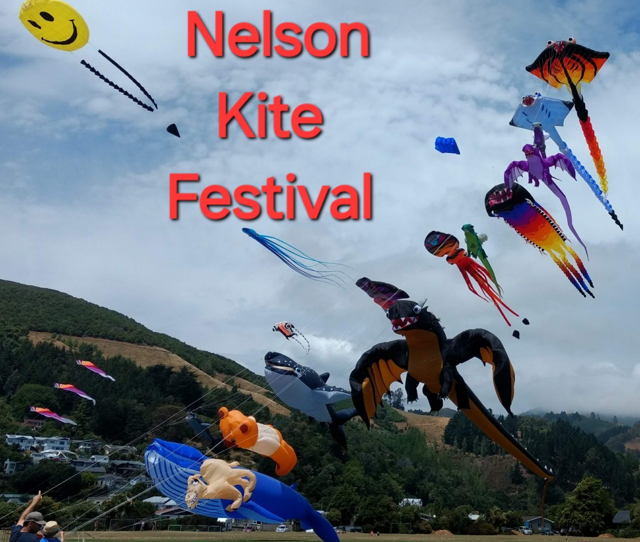 Kite