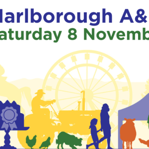 Marlb a&p show