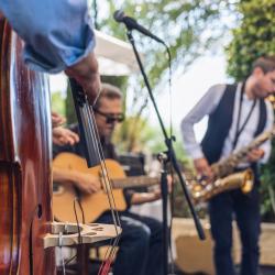 Music evenings fridays